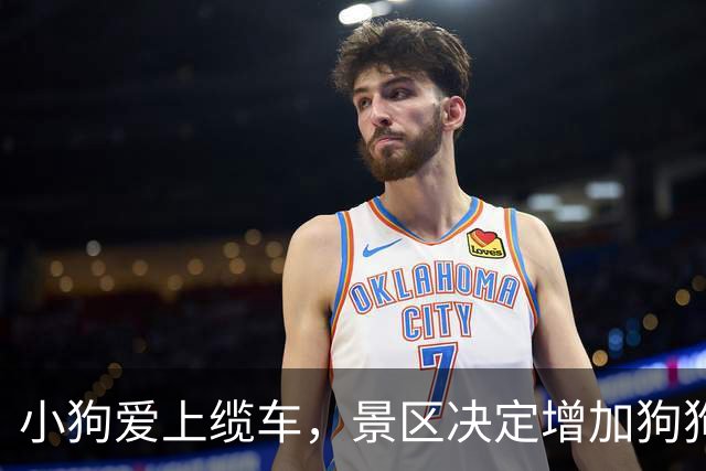 小狗爱上缆车，景区决定增加狗狗乘车规则！